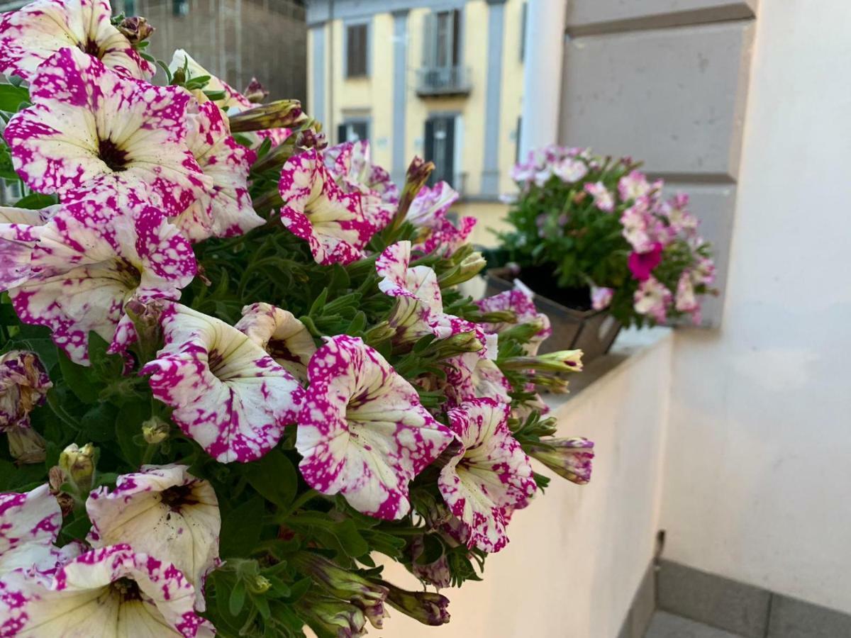 La Terrazza Sul Porto Διαμέρισμα Νάπολη Εξωτερικό φωτογραφία